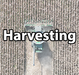 Harvest